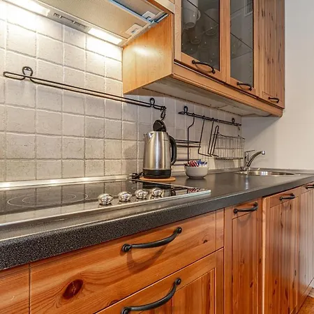 Apartman Przytulny Viva Maria Mountain View & Krzeptowki By Rentilopl Zakopane