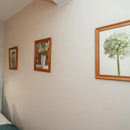 Przytulny Viva Maria Mountain View & Krzeptowki By Rentilopl Apartman